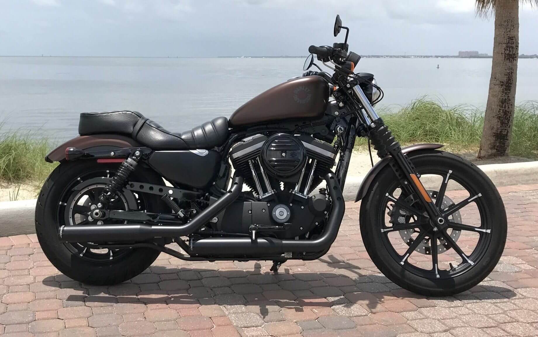 harley-davidson-sportster-iron-883-brown-for-rent